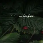 دانلود آهنگ به یاد تو بودم حتی وقتی “ریمیکس ترند هوش مصنوعی” از هایده